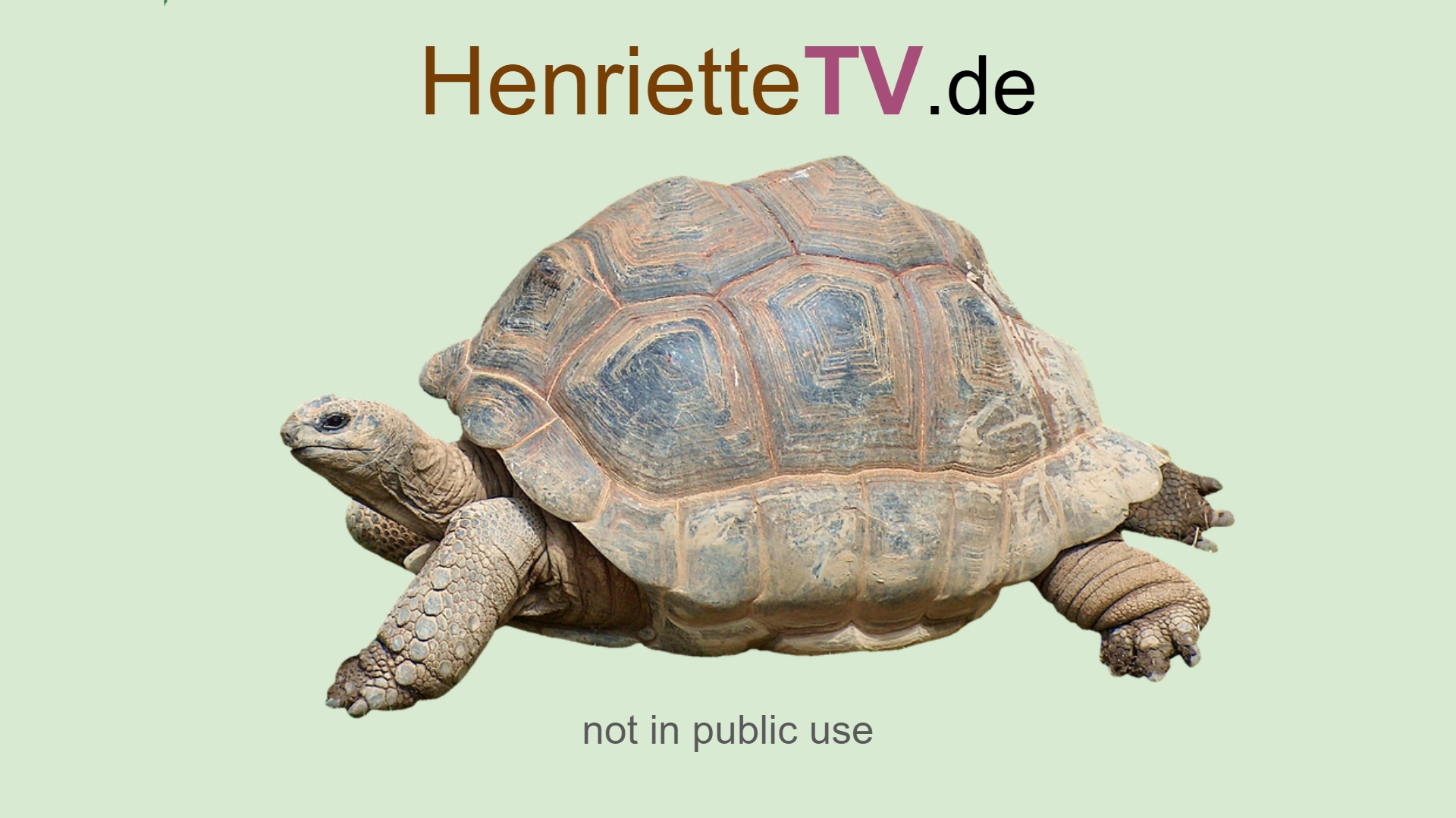 www.henriettetv.de